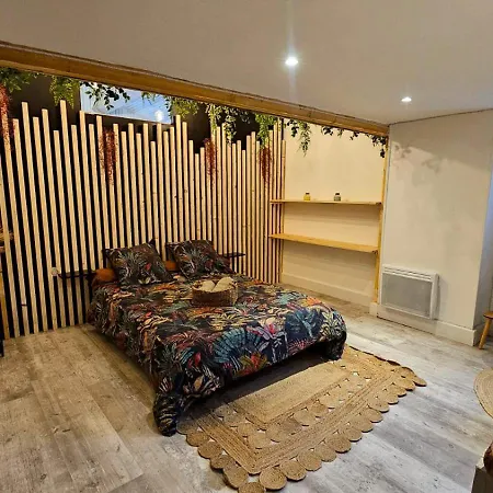 Le Joyau De La Cite קרקסון