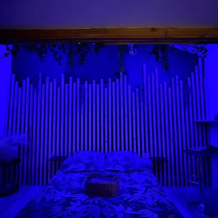 Le Joyau De La Cite Apartamento