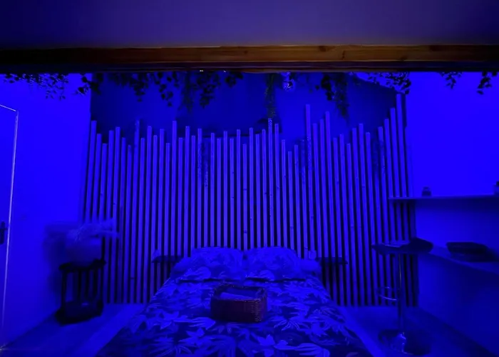 Le Joyau De La Cite Apartamento